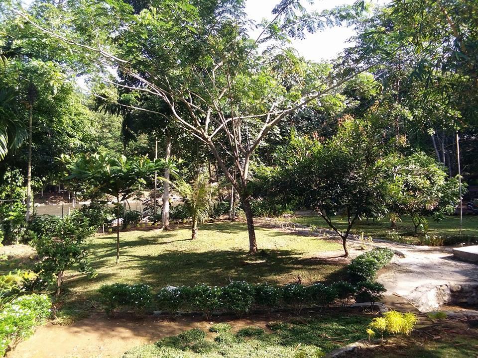 فندق Timbanglawangفي  Orchid Bungalow & Restaurant المظهر الخارجي الصورة